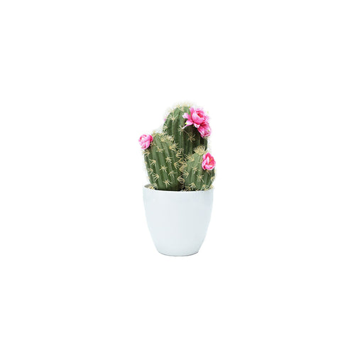 Plastic Cactus 2 Colours (36 cm)