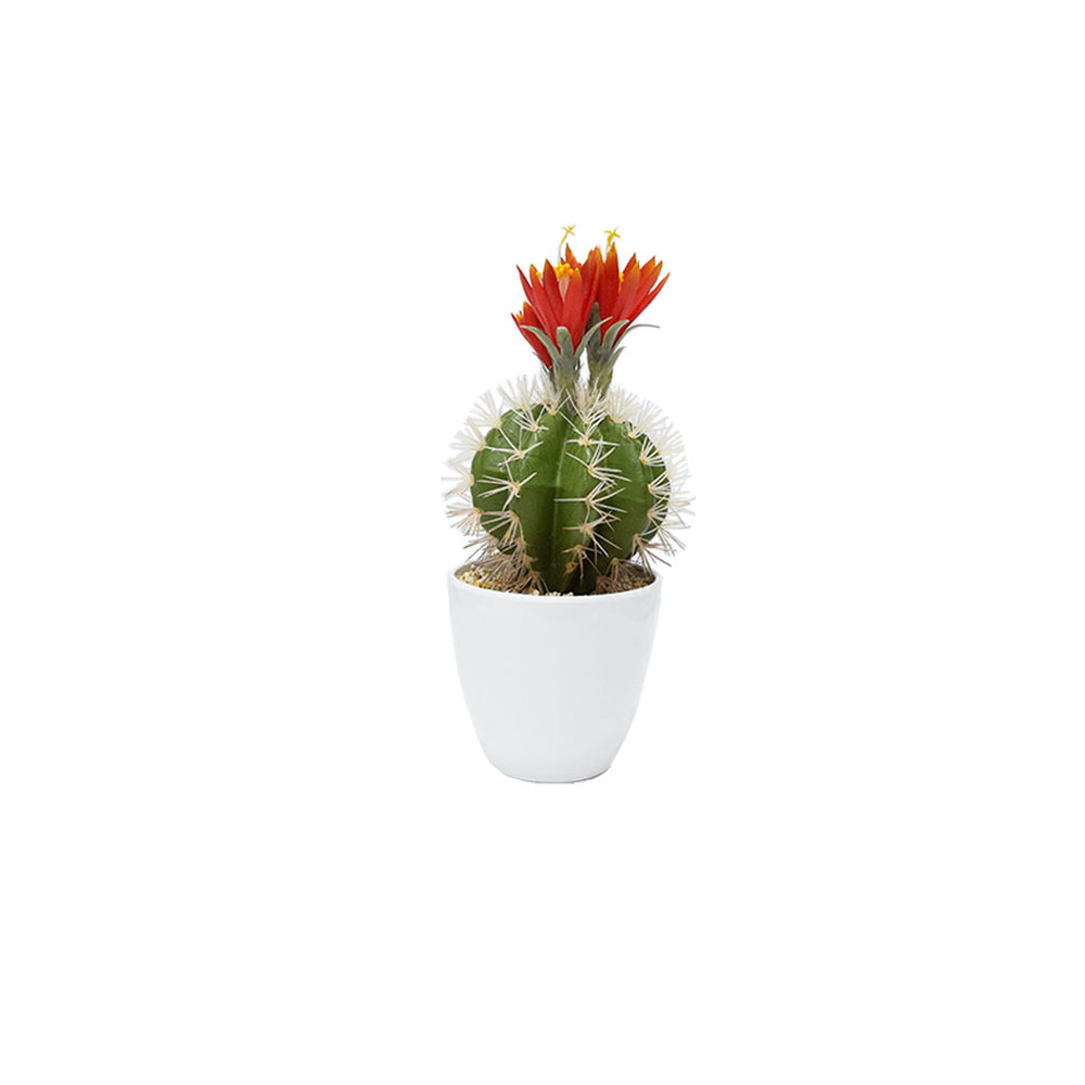 Plastic Cactus 2 Colours (36 cm)