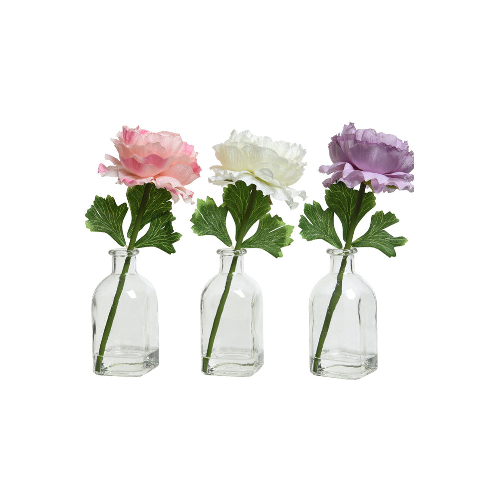 Ranunculi In Glass Vase (20 cm) - Each At