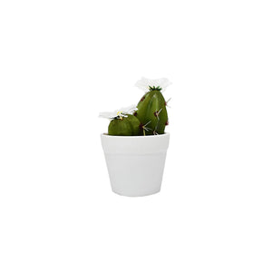 Plastic Cactus With Flower In Pot
