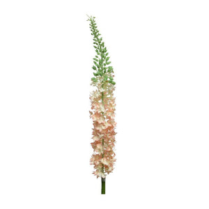 Eremurus Butterfly Flower (108 cm)