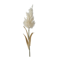 White Butterfly Pampas Grass (75 cm)