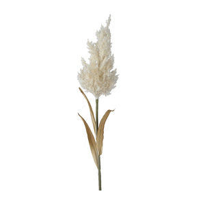White Butterfly Pampas Grass (75 cm)