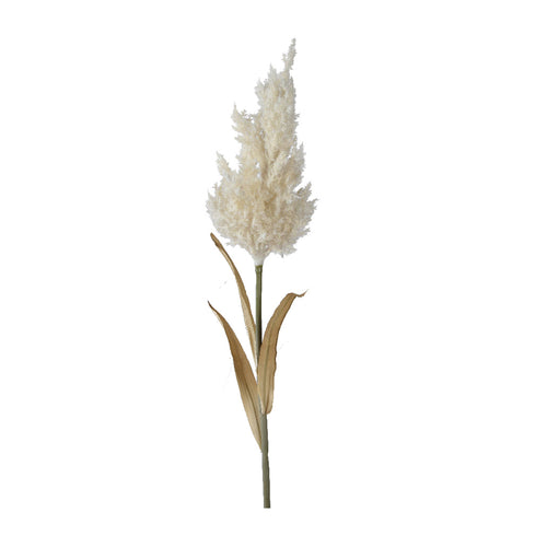 White Butterfly Pampas Grass (75 cm)