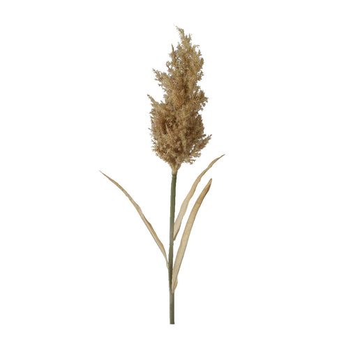 Sand Butterfly Pampas Grass (75 cm)