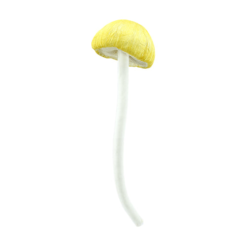Mushroom 3 Colours (40 cm) - Each At