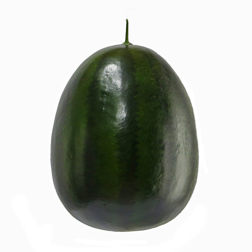 Polyfoam watermelon