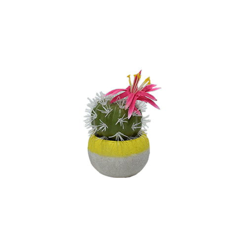 Plastic Cactus In Concrete Pots