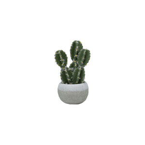 Plastic Cactus In Concrete Pots