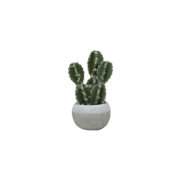Plastic Cactus In Concrete Pots