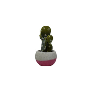 Plastic Cactus In Concrete Pots