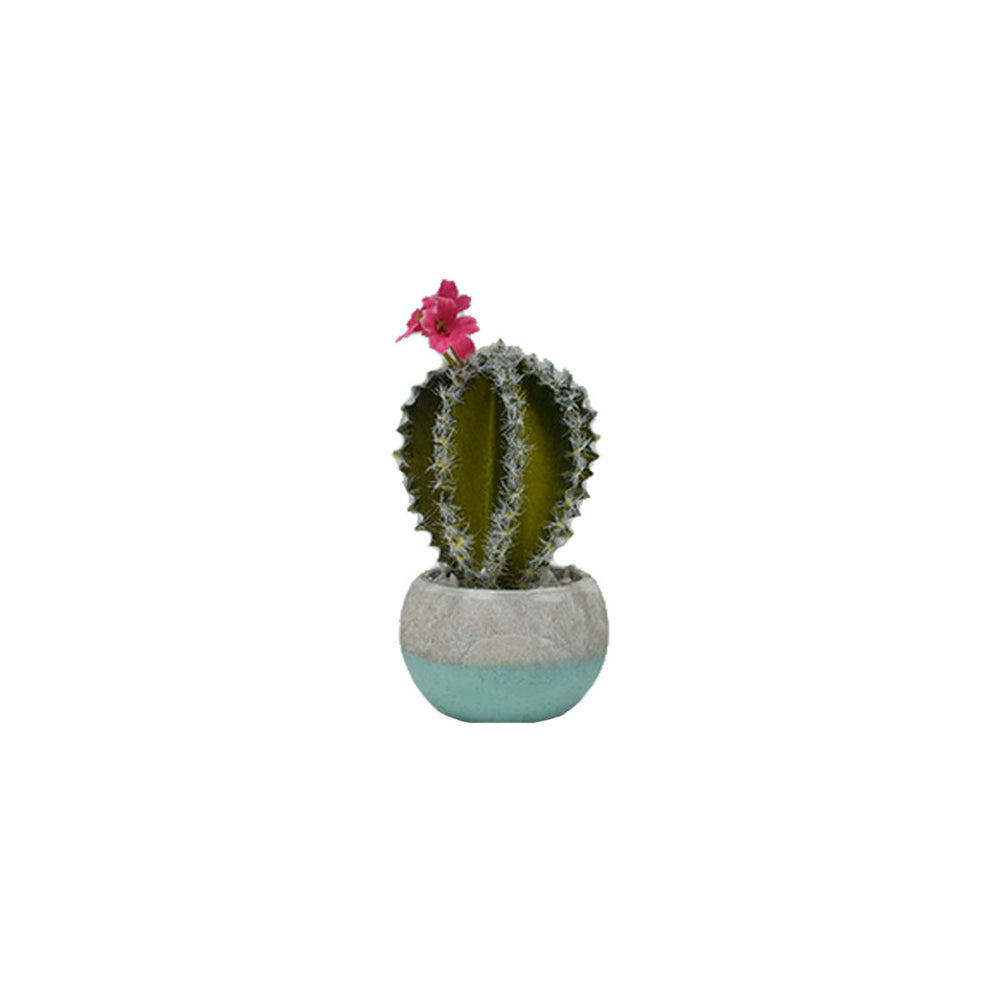 Plastic Cactus In Concrete Pots