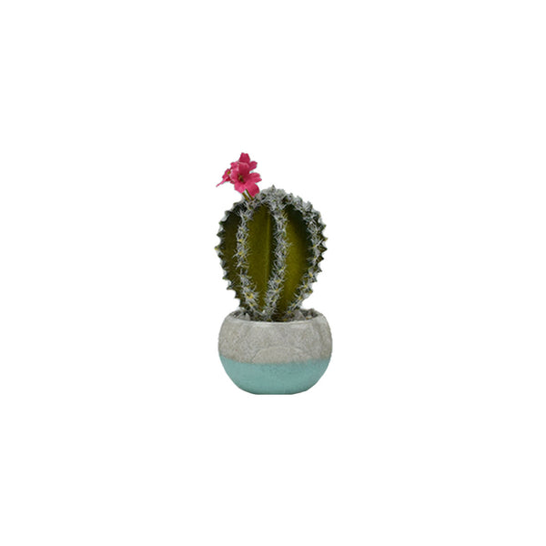 Plastic Cactus In Concrete Pots
