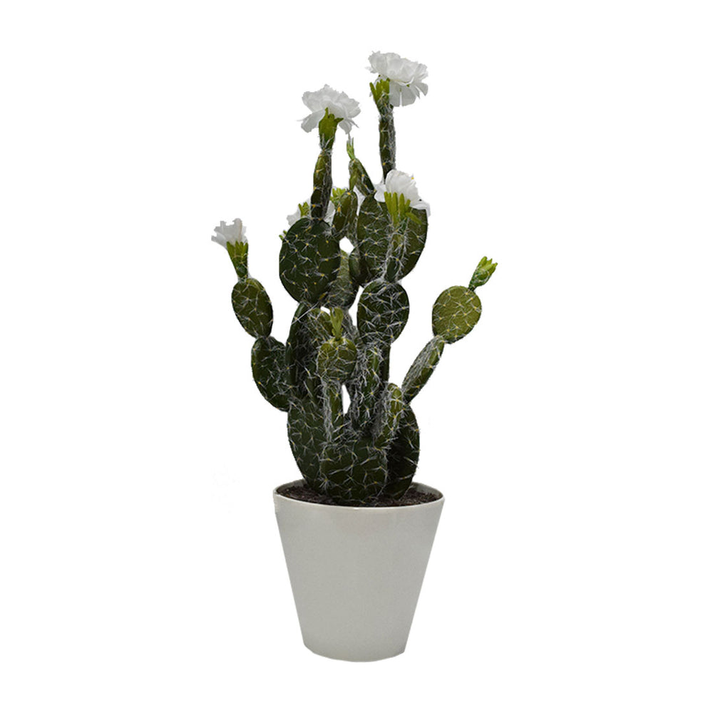 Plastic Cactus With Flowers 2 Colours