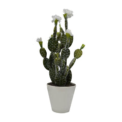 Plastic Cactus With Flowers 2 Colours