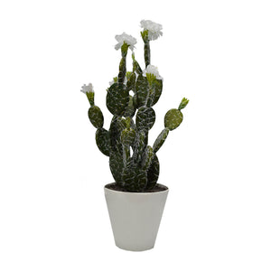 Plastic Cactus With Flowers 2 Colours