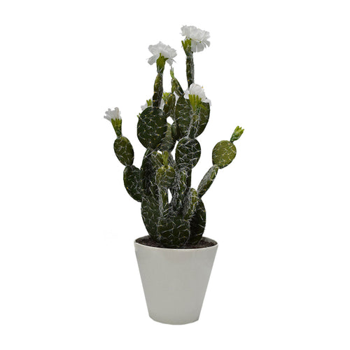 Plastic Cactus With Flowers 2 Colours