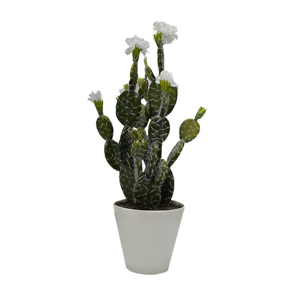 Plastic Cactus With Flowers 2 Colours
