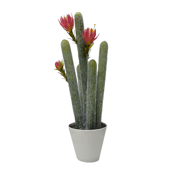 Plastic Cactus With Flowers 2 Colours