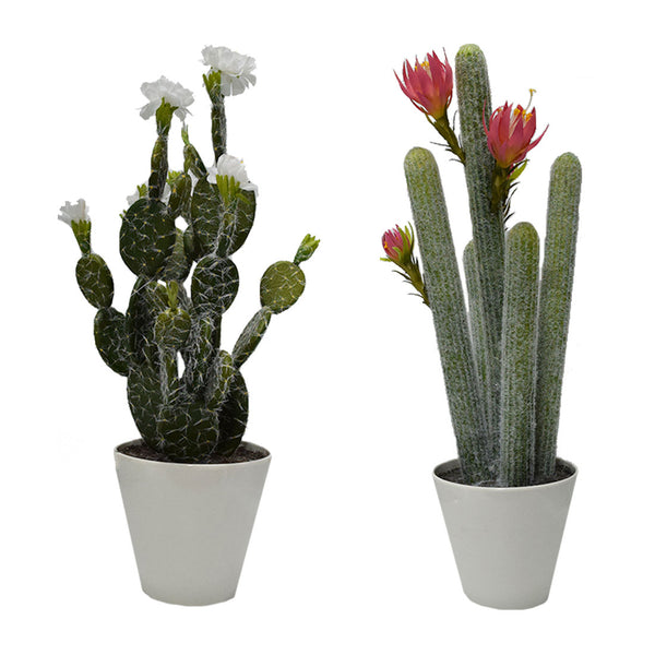 Plastic Cactus With Flowers 2 Colours