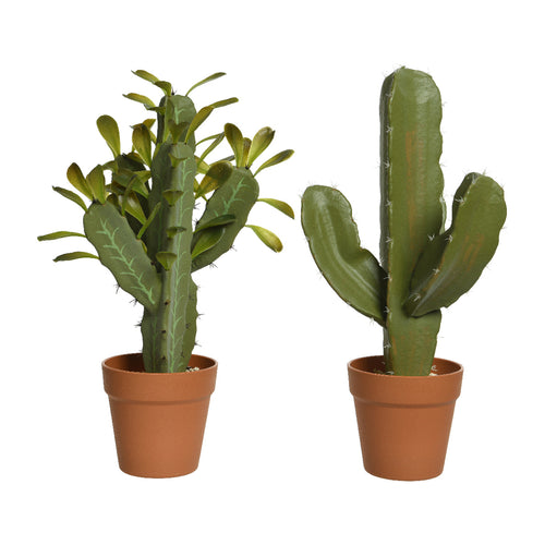Plastic Cactus In Plastic Pot
