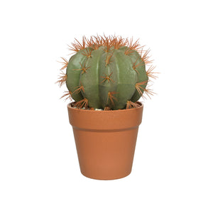 Plastic Cactus In Plastic Pot (25 cm)