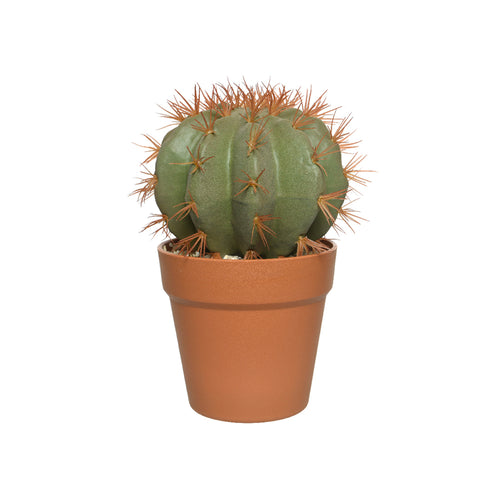 Plastic Cactus In Plastic Pot (25 cm)