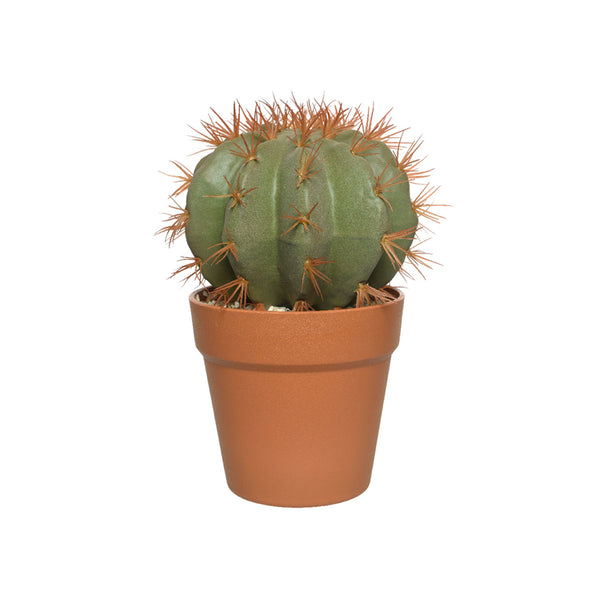 Plastic Cactus In Plastic Pot (25 cm)