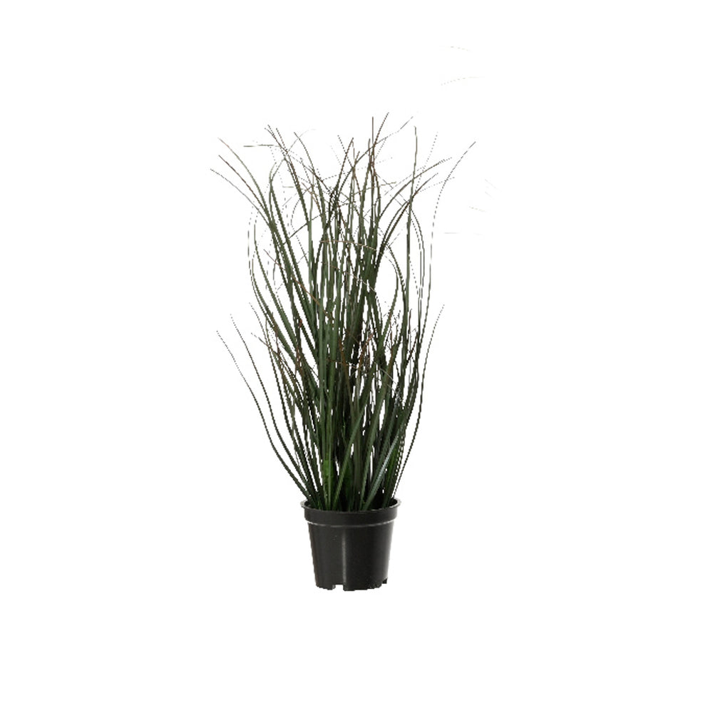 PVC Plant 4 Designs (30 cm) - Each At