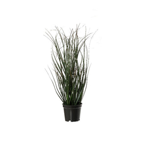 PVC Plant 4 Designs (30 cm) - Each At
