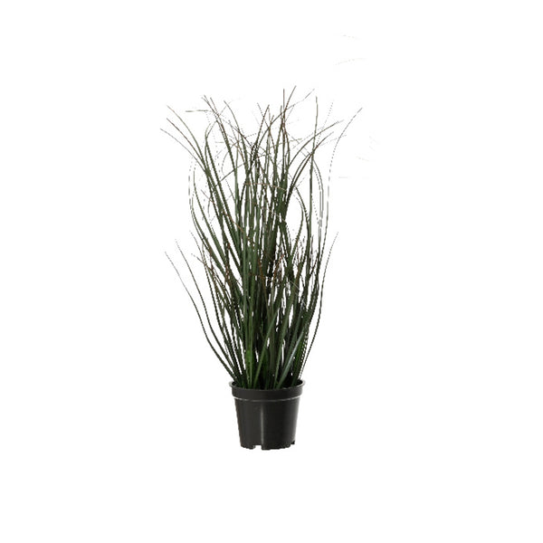 PVC Plant 4 Designs (30 cm) - Each At