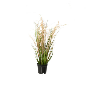 PVC Plant 4 Designs (30 cm) - Each At