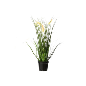 PVC Plant 4 Designs (30 cm) - Each At