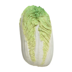 Poly chinese cabbage 