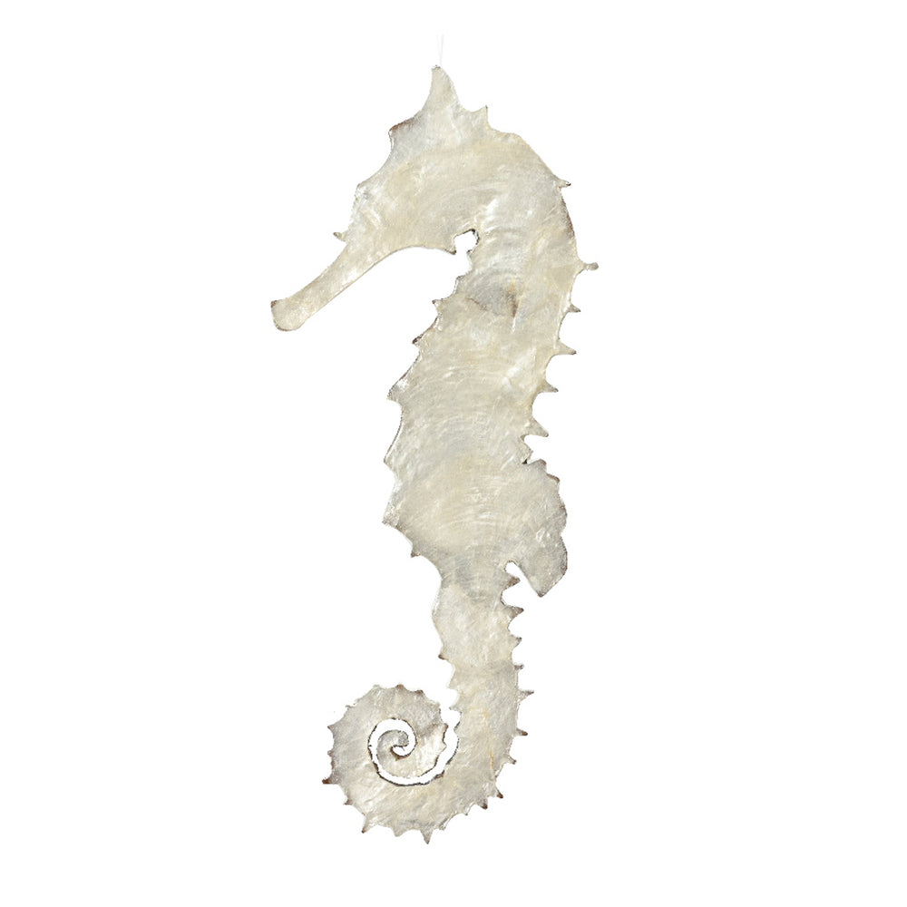 Seahorse capiz white L20cm 