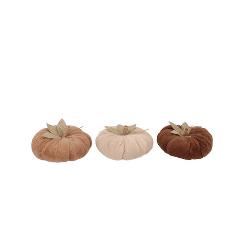LAUREN BROWN PUMPKIN DECO ASS 17X9M