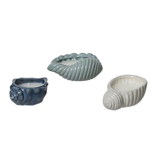 Coastal Shell Stone Citronella Candle - Each At