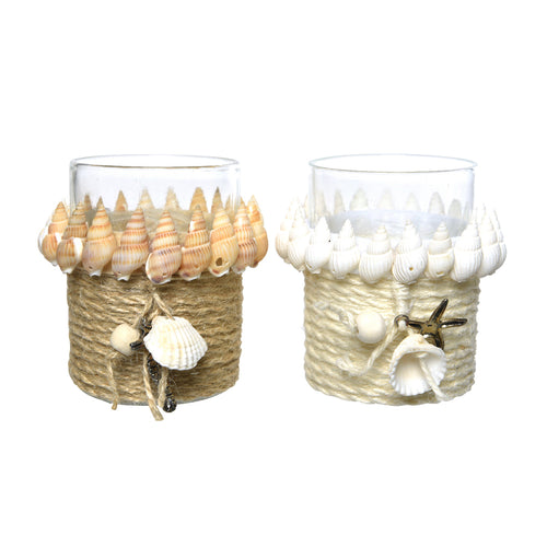 Shells Glass Tealight 2 Colors (8 cm) - Each At
