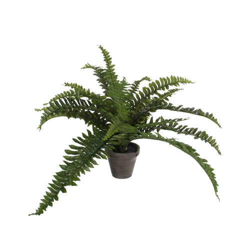 Artificial Green Boston Fern in Grey Pot (45 cm)