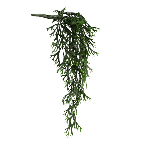 Green Hanging Citronella (84 cm)