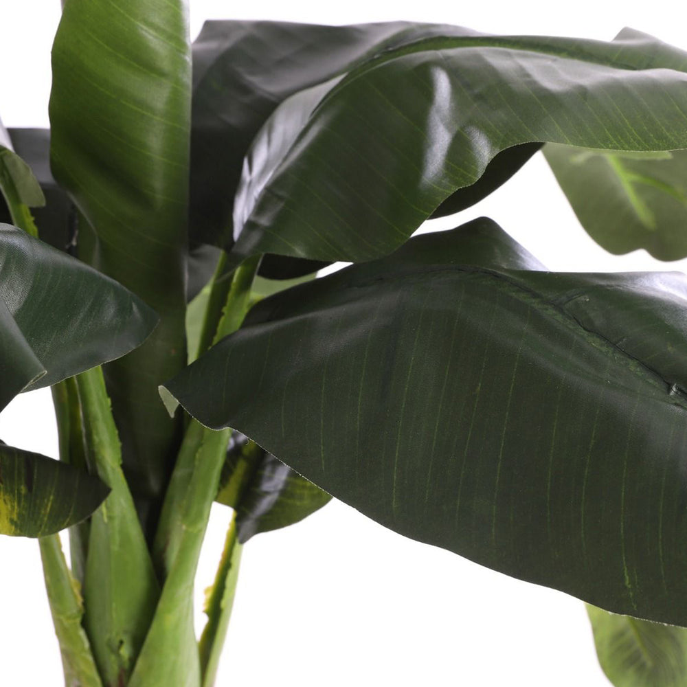 Green Banana Tree In Pot (150 cm)