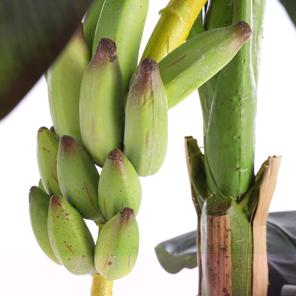 Green Banana Tree In Pot (150 cm)