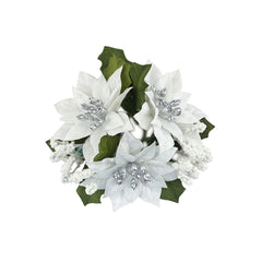 Poinsettia 