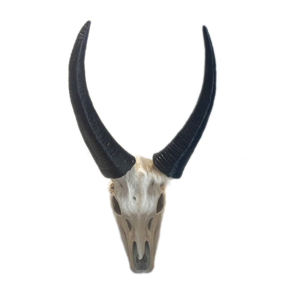 Poly Skull Ornament (30 cm)