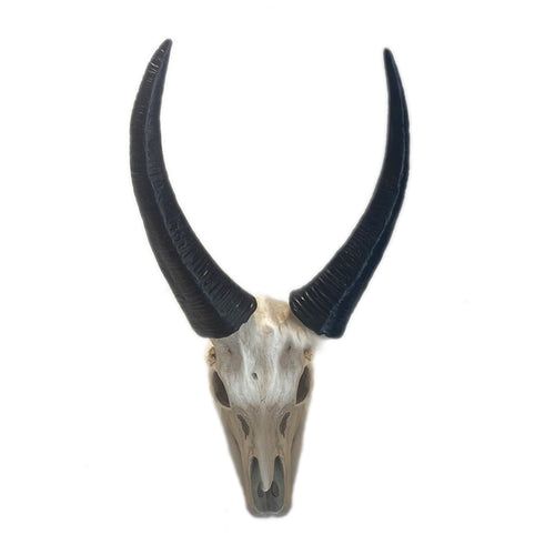 Poly Skull Ornament (30 cm)