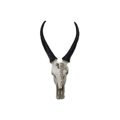 Mix Poly Skull (52 cm)