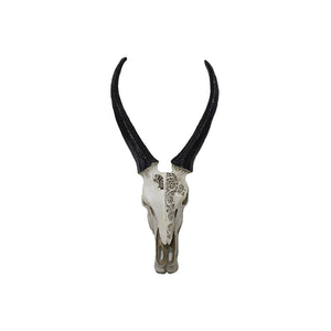 Mix Poly Skull (52 cm)