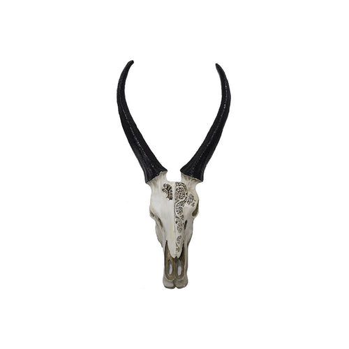 Mix Poly Skull (52 cm)