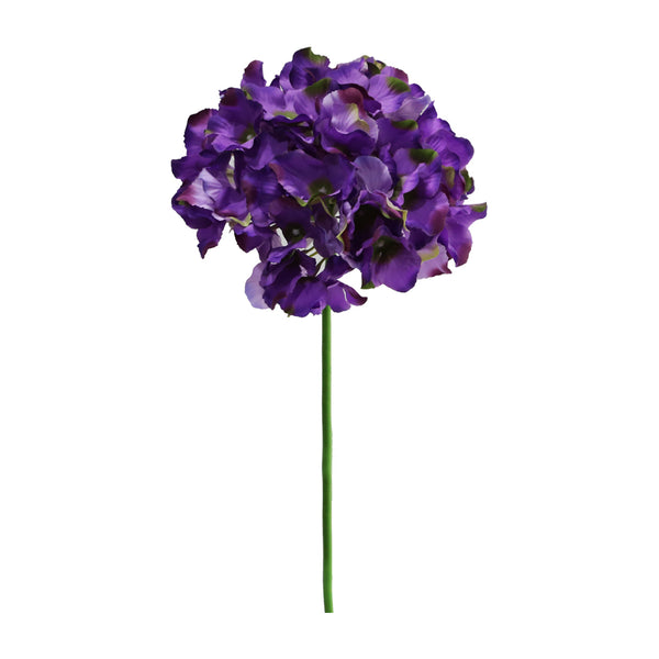Hortensia 8 Colours