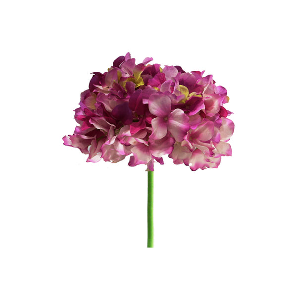 Hortensia 8 Colours
